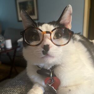 This is a Pet Friendly Closet!